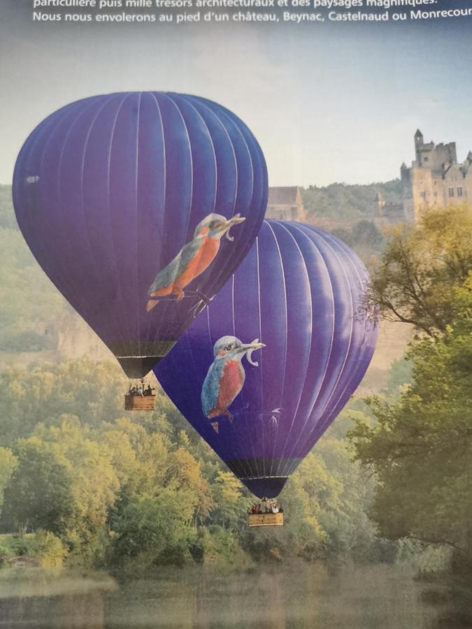 Gite La Borie Du Bois Sarlat Saint-Andre-d'Allas Buitenkant foto
