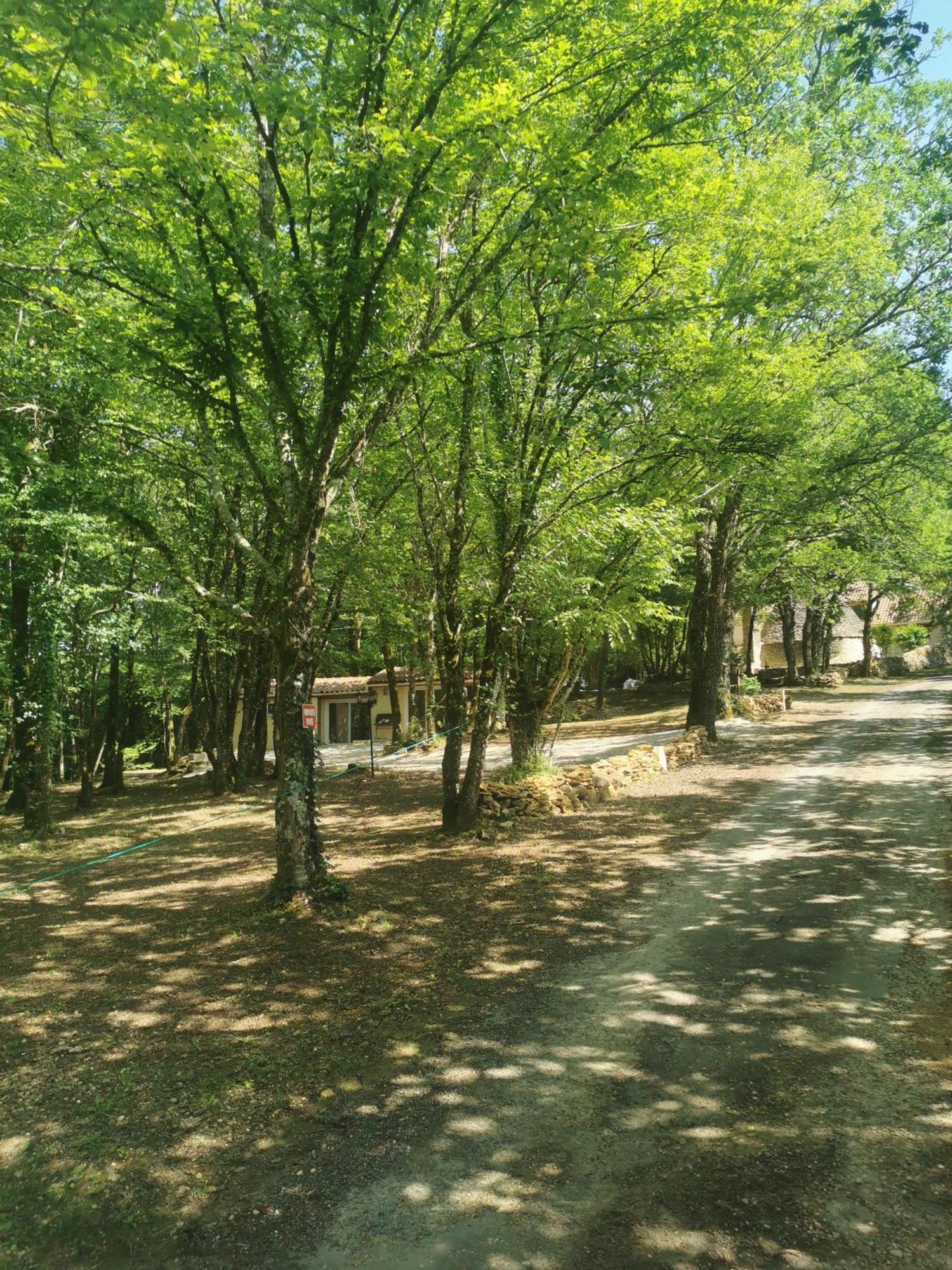 Gite La Borie Du Bois Sarlat Saint-Andre-d'Allas Buitenkant foto